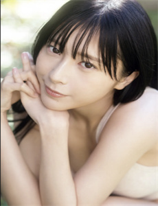 菊花香